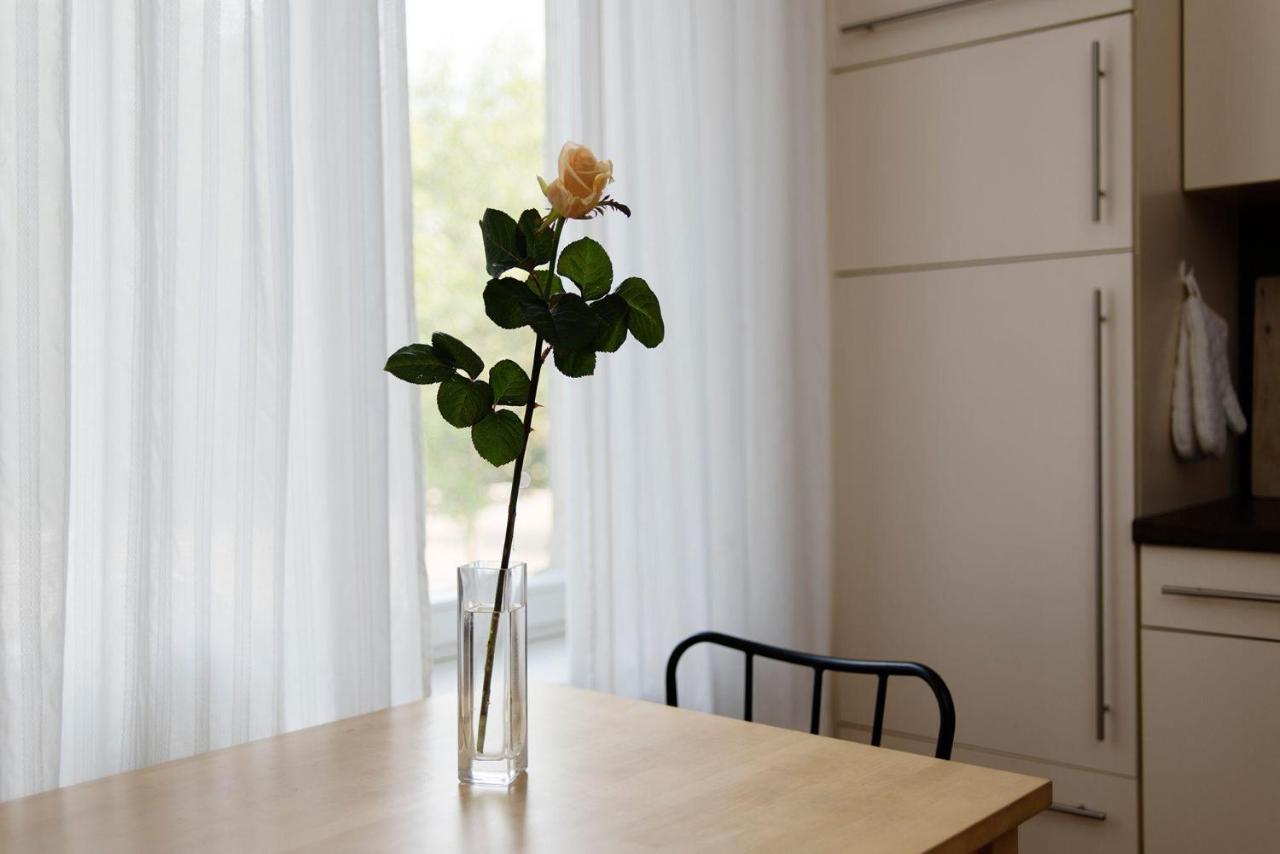 Floßplatz Apartment